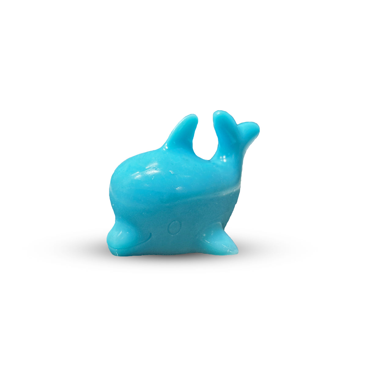 Dolphin Soap-70g