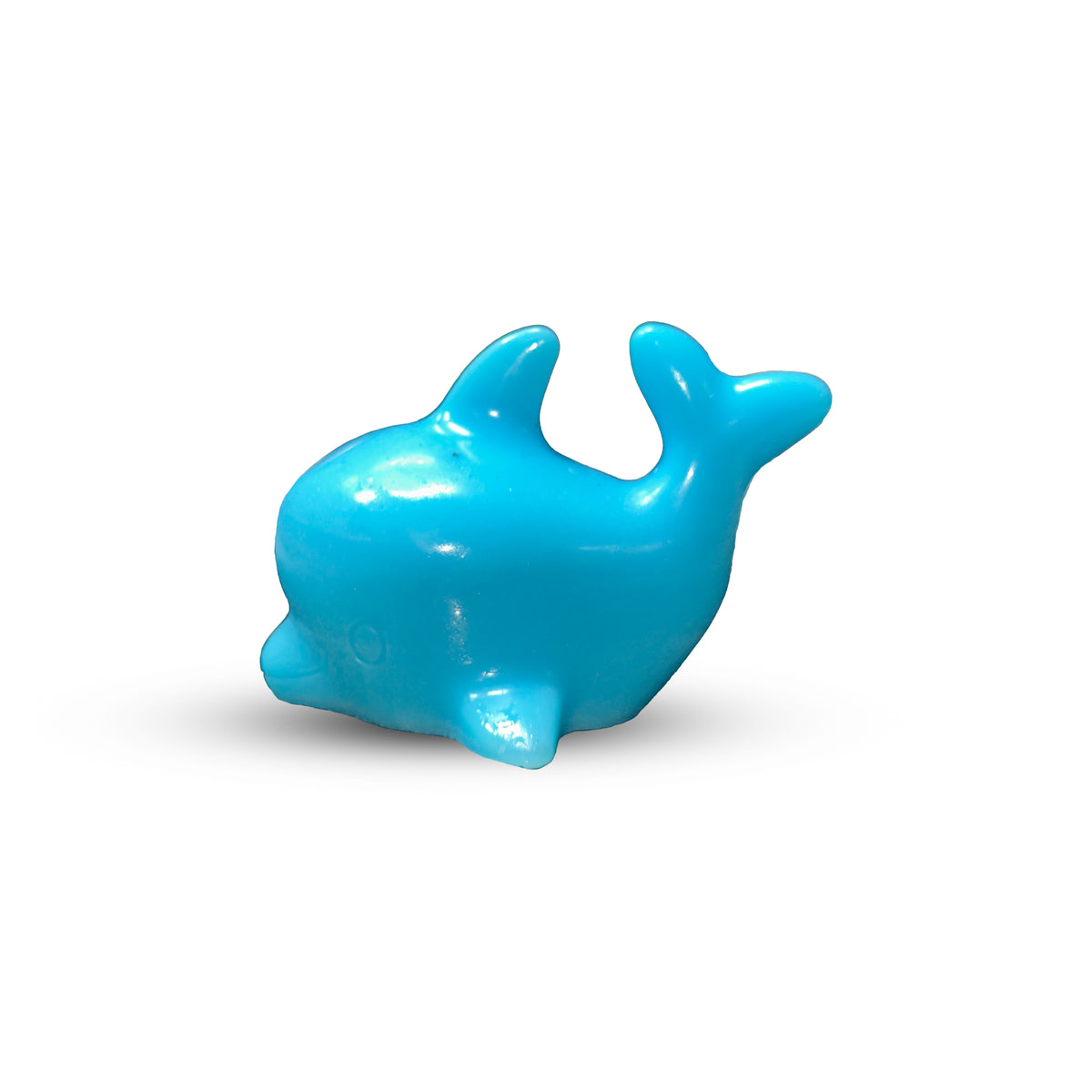 Dolphin Soap-70g