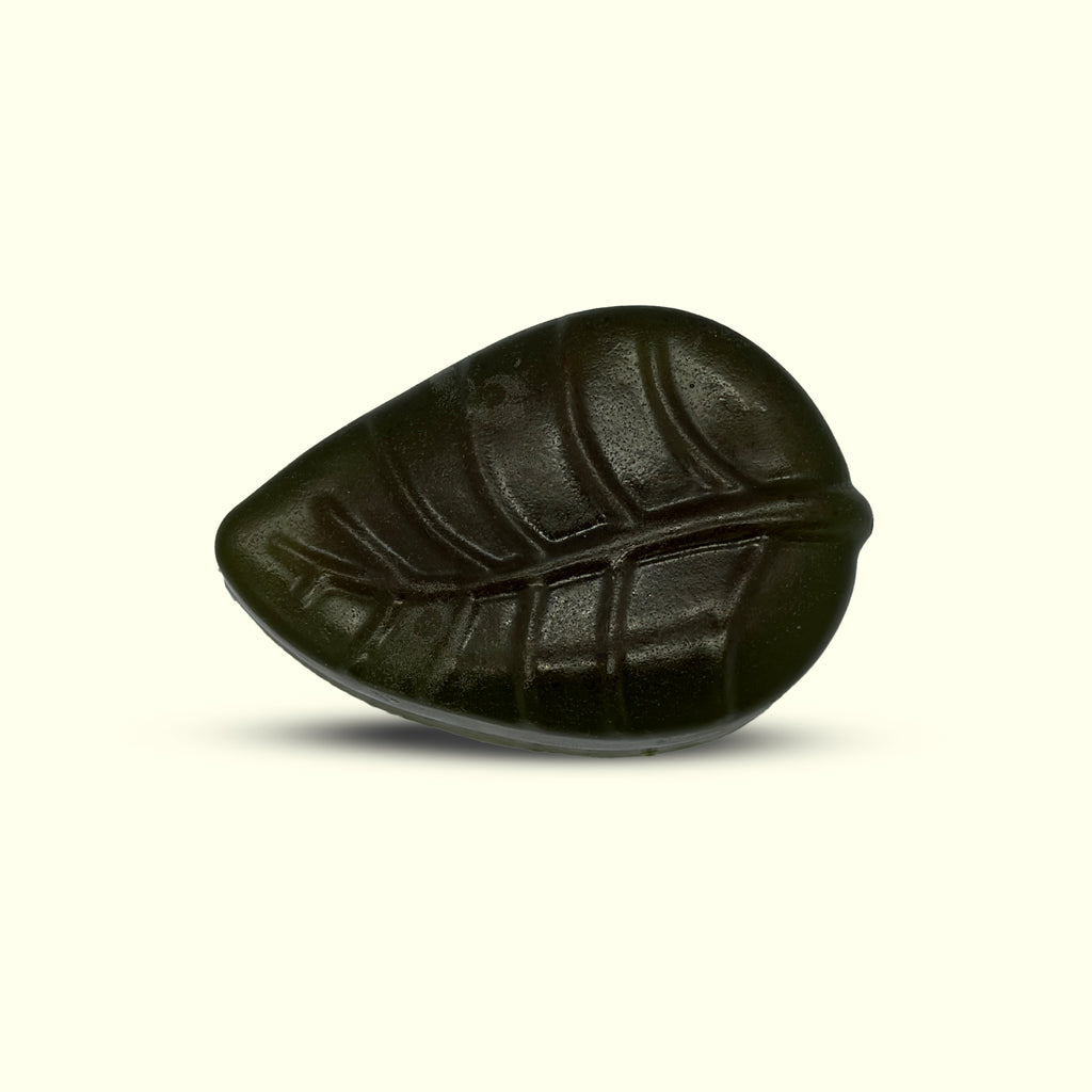 Neem Soap-100g